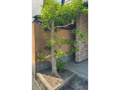 Before画像2